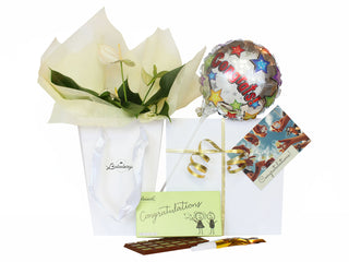 Congratulations gift with flowers, balloon and chocolate delivered within NZ North Island by Batenburgs Gift Hampers